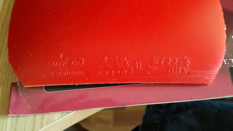 �Żݳ�����flextra��09��ʡ���켫2����ɫ�ã�160���ems