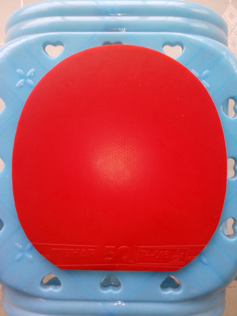 ��5(TOUR)+1QXD+5Q=380Ԫ���죡