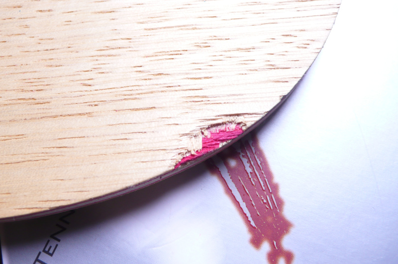 [ԭ��]251Ԫ���� �����켫506!