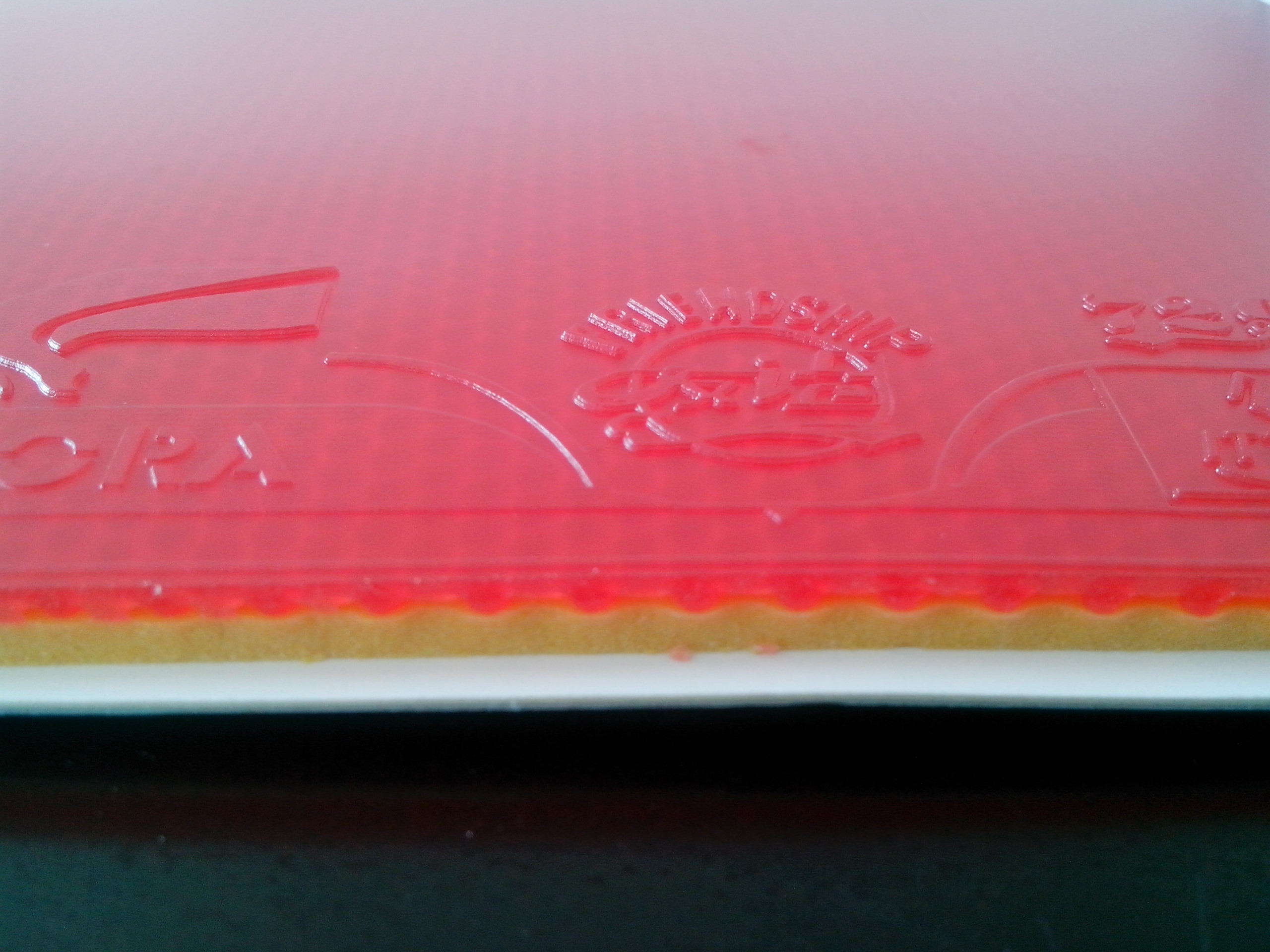 729�����׽��������������һ����������