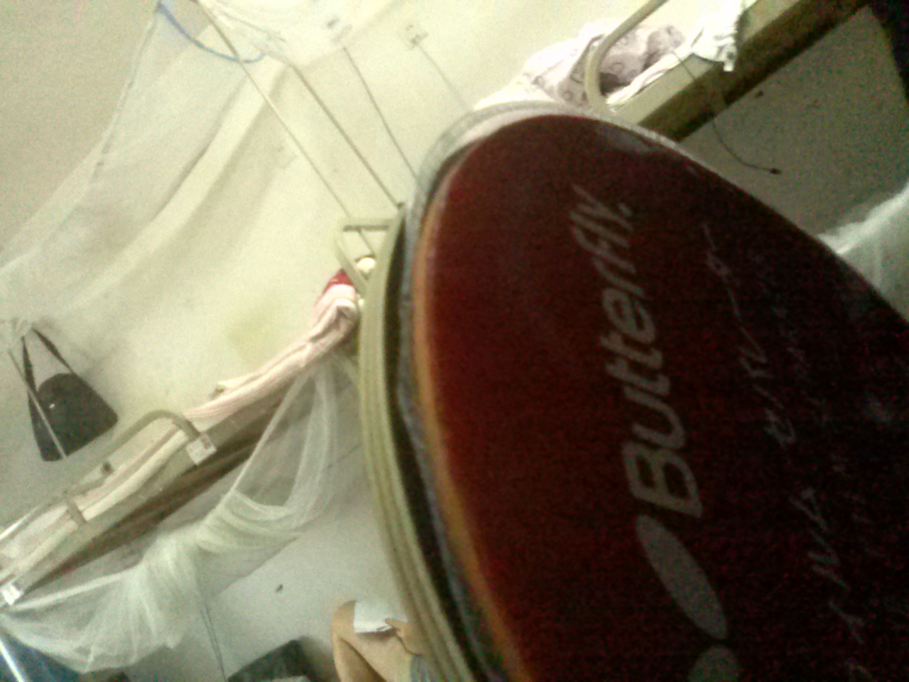 ���˹�ٿ�����С����