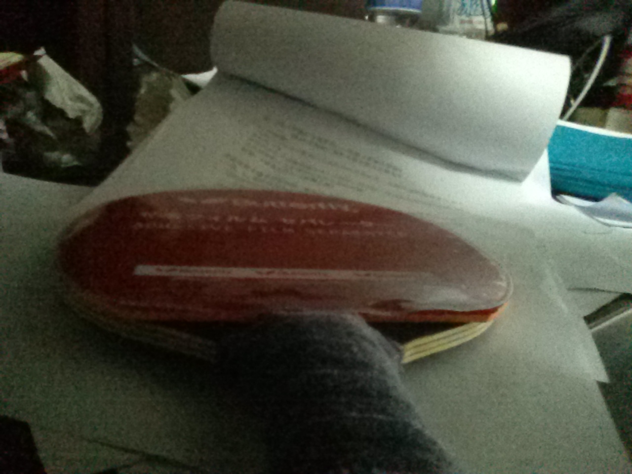 ���˹�ٿ�����С����