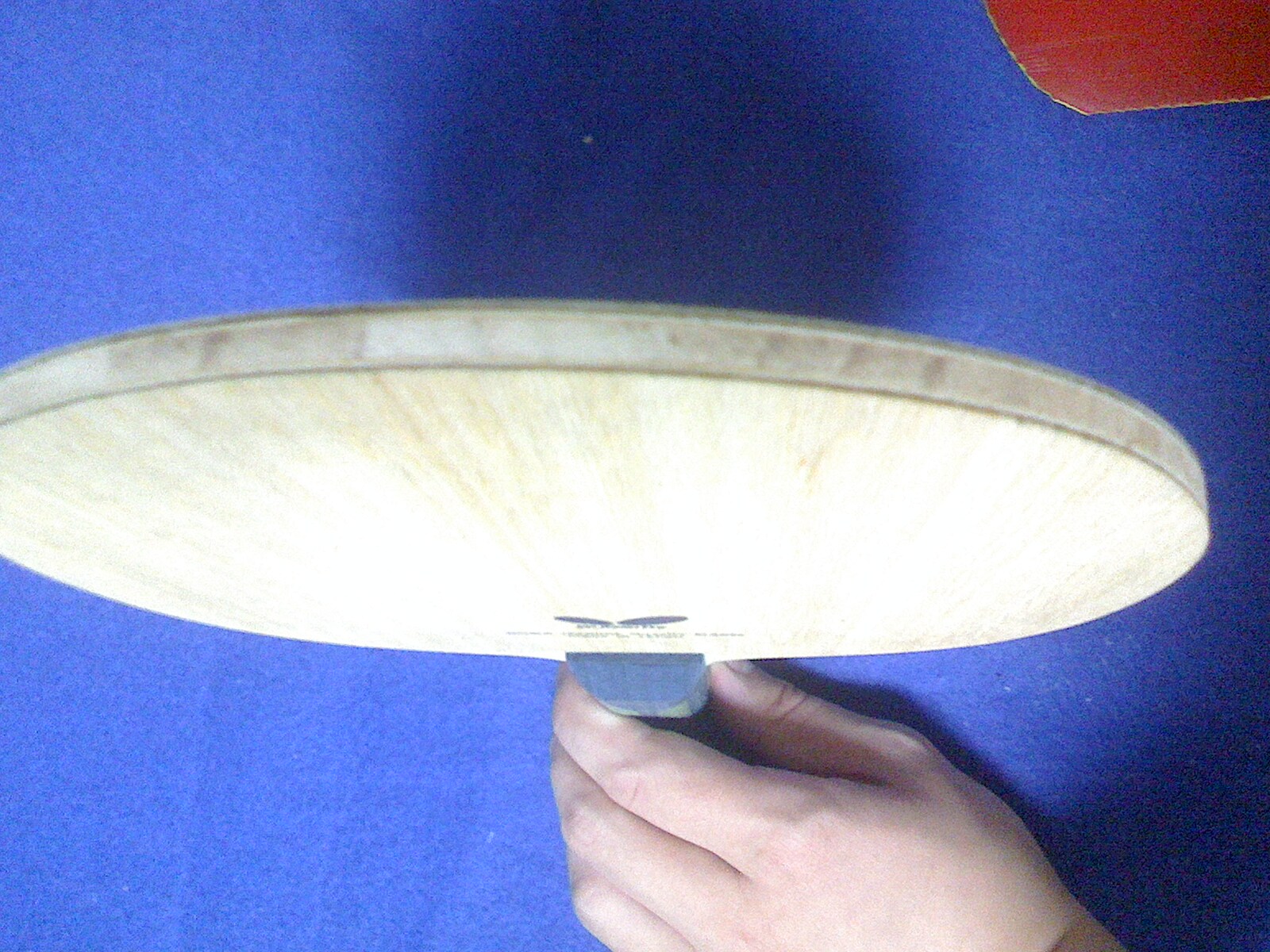 �������̽�����boll t5000 st��ͦ����ţ��׽�����������