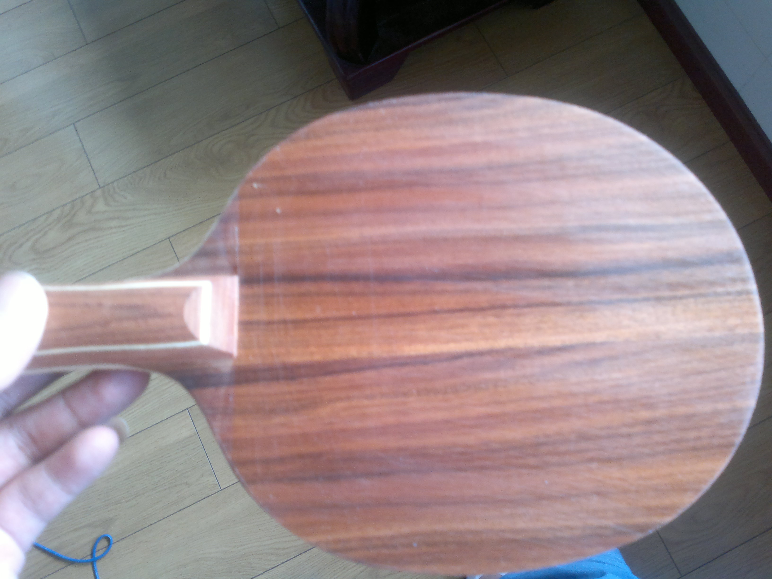 �������л�õ��5   480����