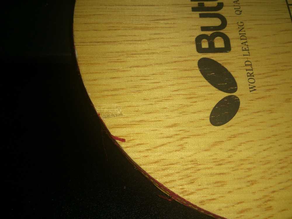 �������Ͽ�EG����������ŵ��