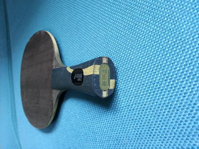 ���������� �� FL 310Ԫ