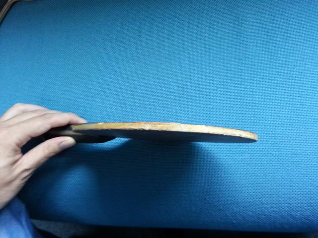 ���������� �� FL 310Ԫ