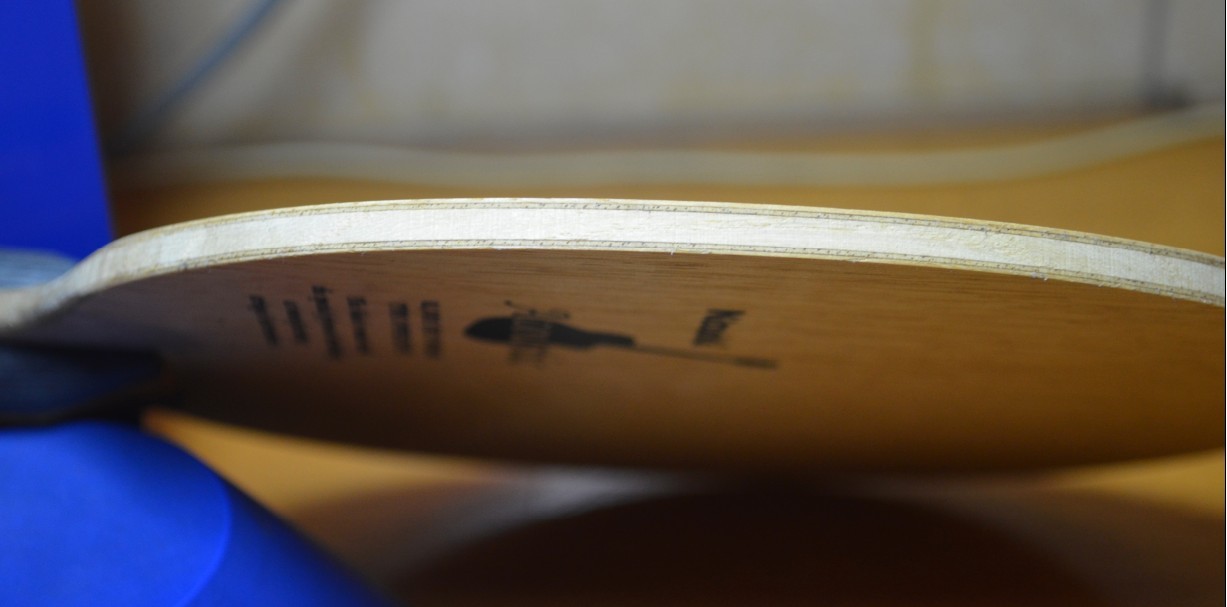 ����ľ����