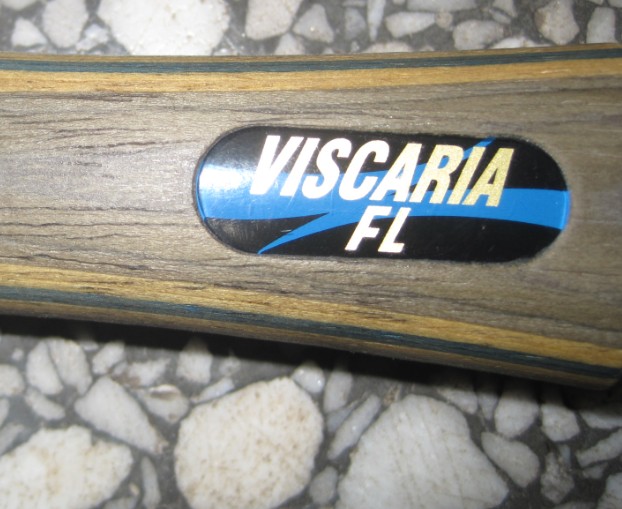 ���������ˣ��鷳�������Ƶ���������vis��÷�ȡ�������