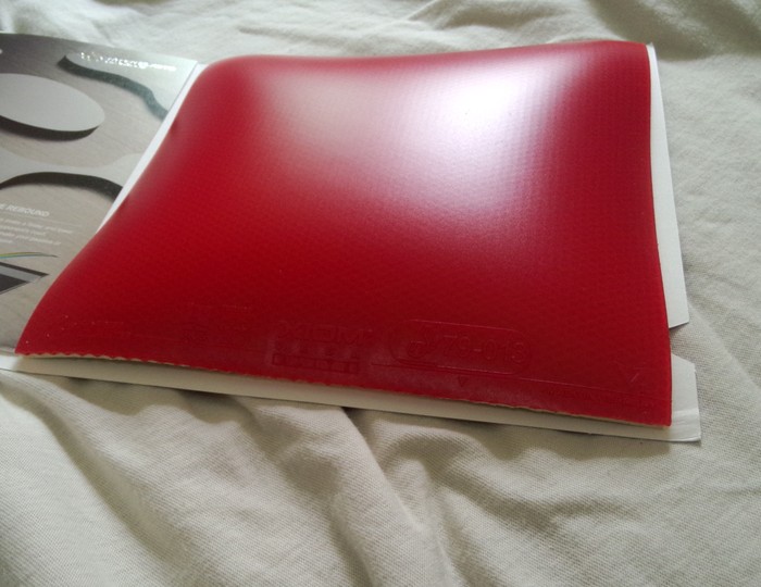 �������ޱ����V������Ψ�Ѿ�Ӣ�׽�����