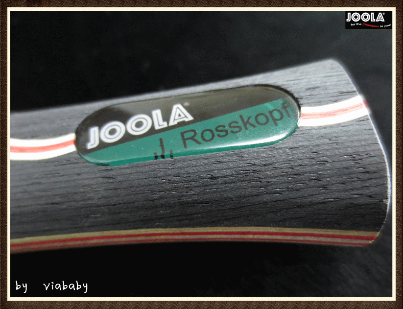 ־߽Ĵ˵---JOOLA ROSSI VIVAС