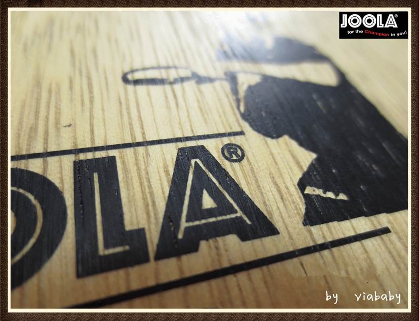 ־߽Ĵ˵---JOOLA ROSSI VIVAС