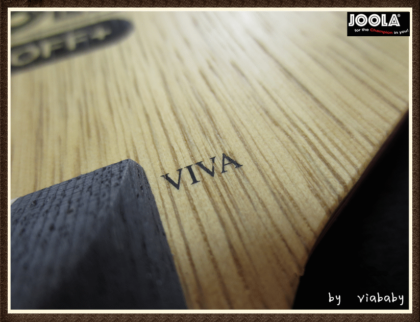 ־߽Ĵ˵---JOOLA ROSSI VIVAС
