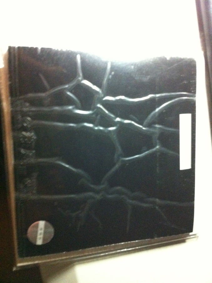 ����������������  ������ ʮ��� �����������������˽�  ����ͼ �հѶ���Ҫ�� �Ѹ���������ͼ