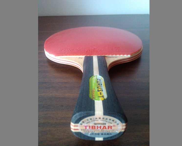 ͦ�α���+���ͽ�̤����95�£�245���ʣ�������