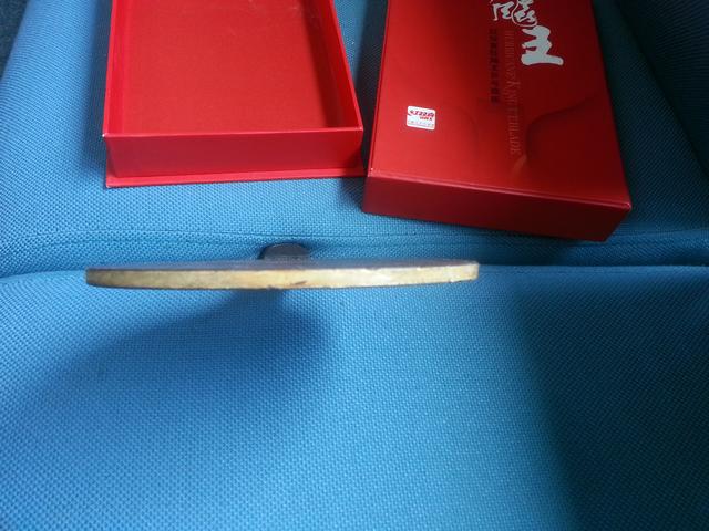 ���������� �� FL 310Ԫ