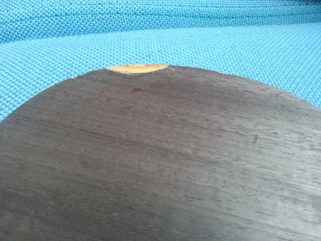 ���������� �� FL 310Ԫ