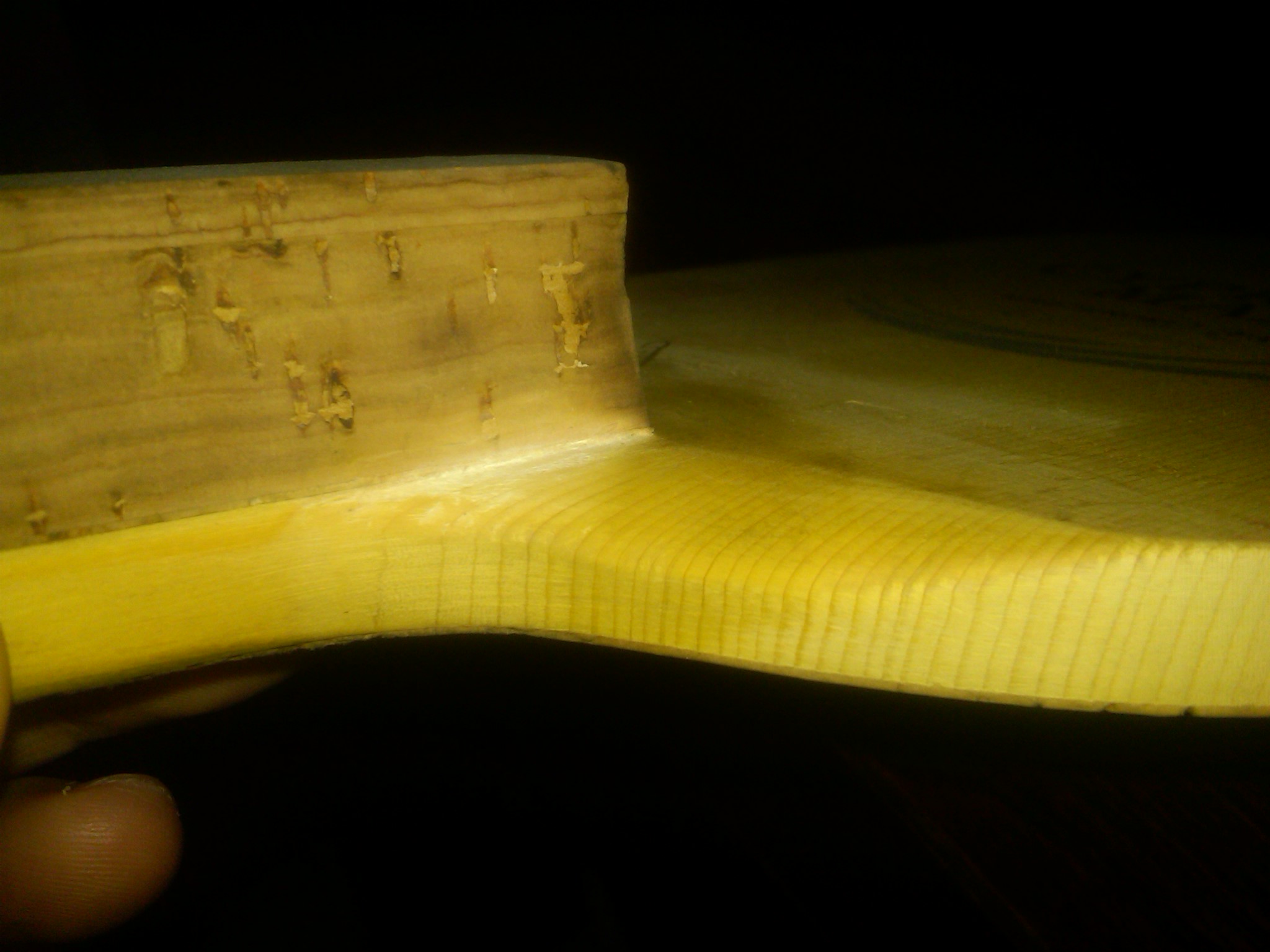 ������max ��͢��