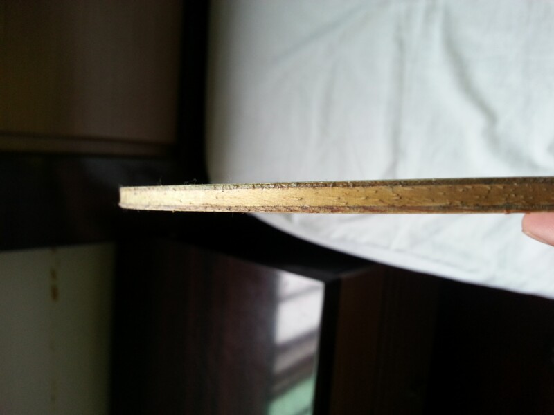 �������ϰ�����Բ��FL������R5��һ���׽���ͦ��һ��������sinus alpha����쭵ȣ�