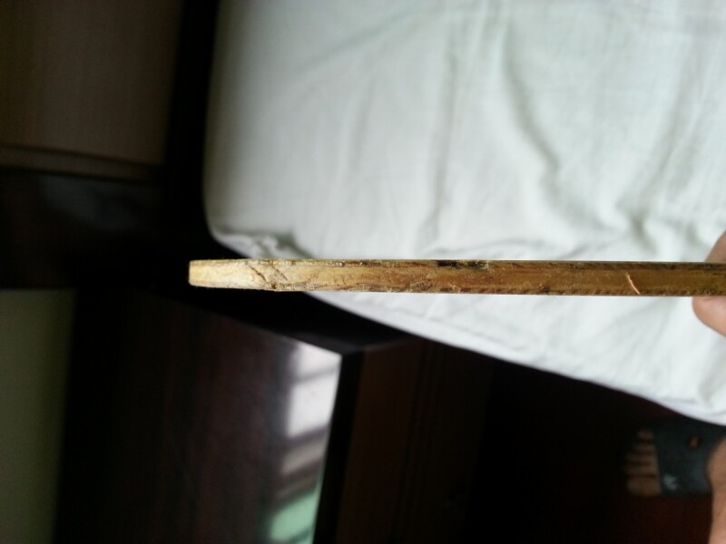 �������ϰ�����Բ��FL������R5��һ���׽���ͦ��һ��������sinus alpha����쭵ȣ�