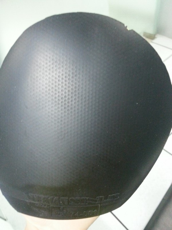 �������ϰ�����Բ��FL������R5��һ���׽���ͦ��һ��������sinus alpha����쭵ȣ�