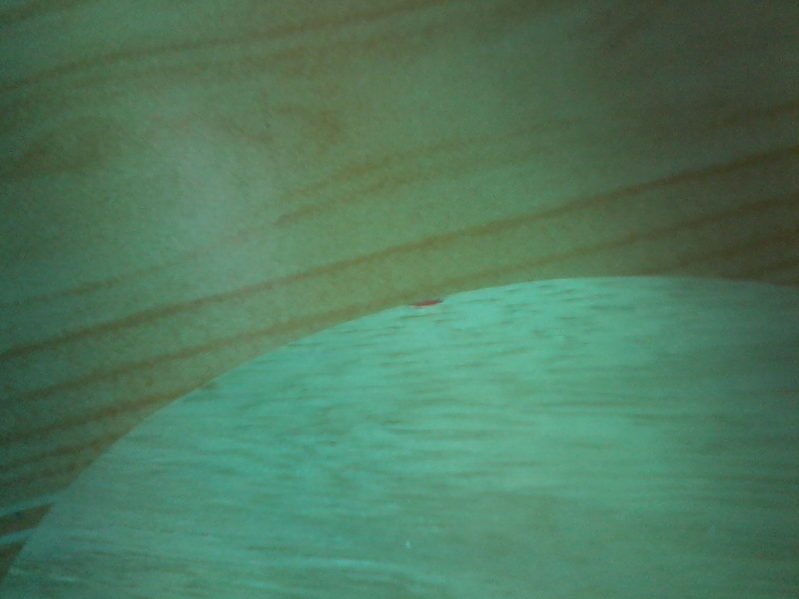 @@@@@@@@@@@~~~~~�ﾡ���ã���ͨ����~~~~~@@@@@@@@@@@@@