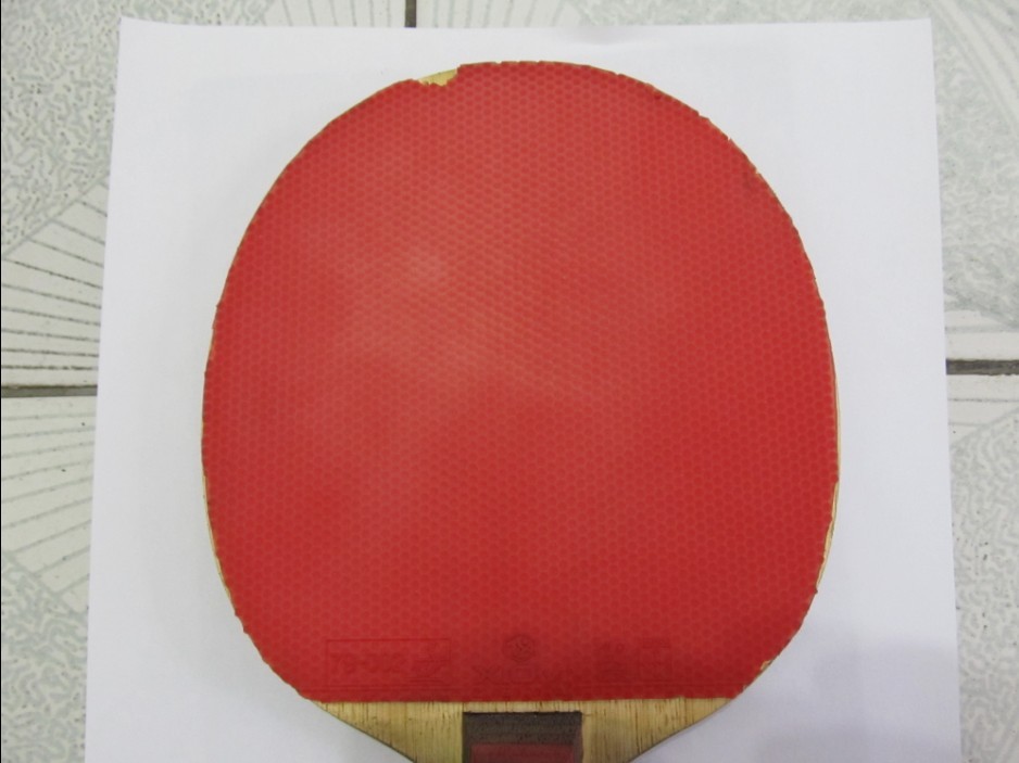 9���л���cl+zeta=270���ʣ�