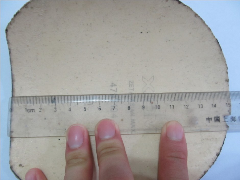 9���л���cl+zeta=270���ʣ�