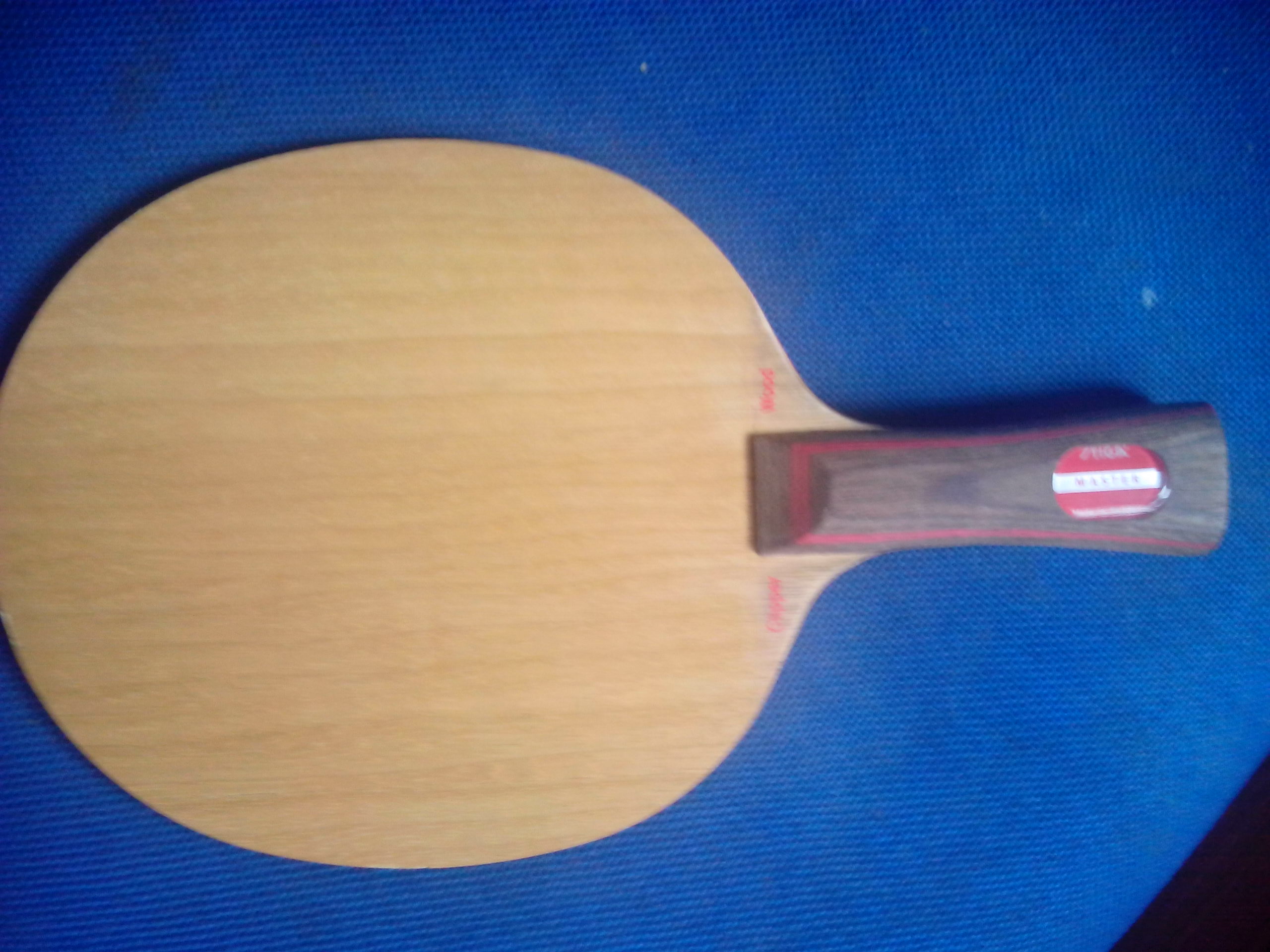 ע�ᾫӢ10��������3��1����ʾ���