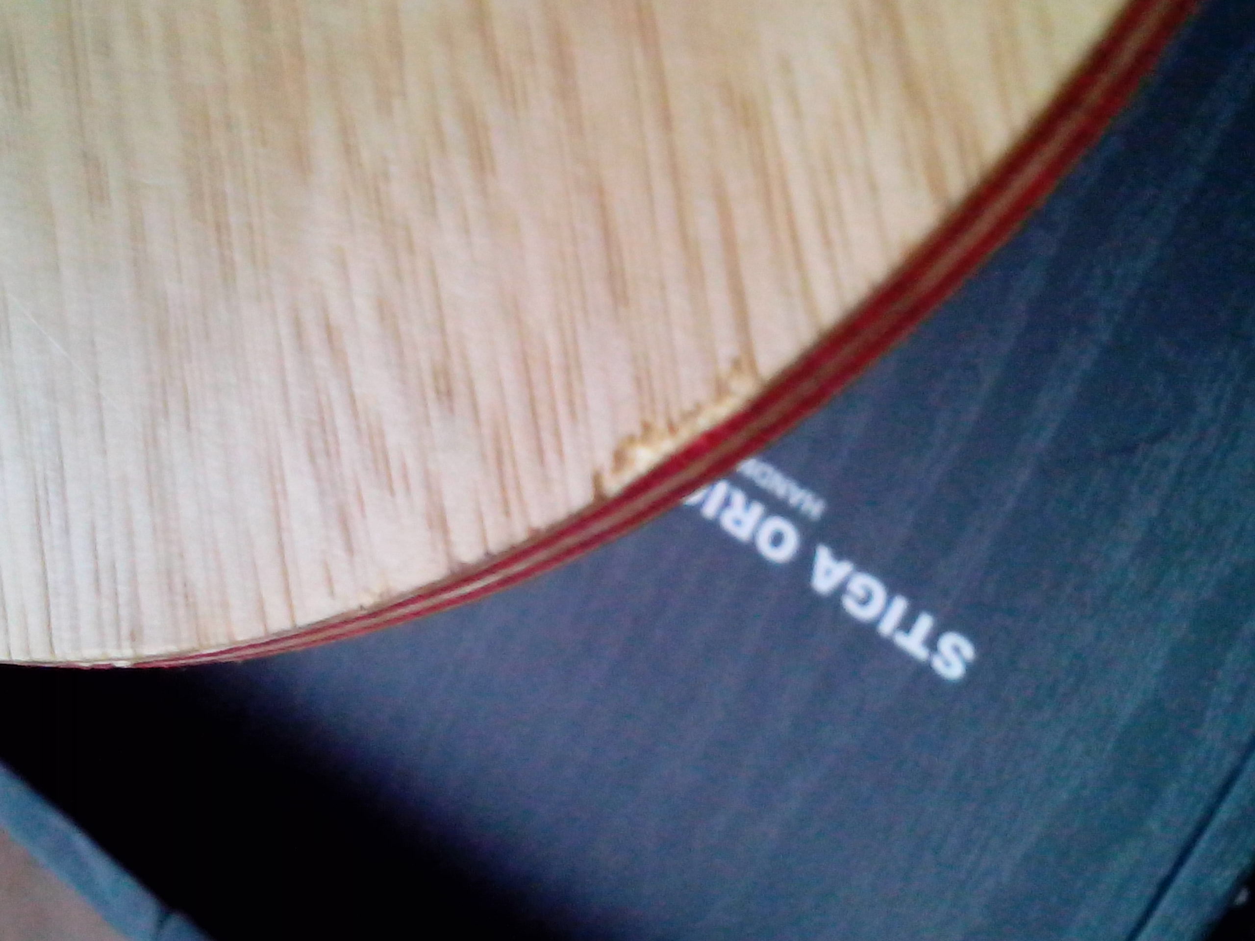 ע�ᾫӢ10��������3��1����ʾ���