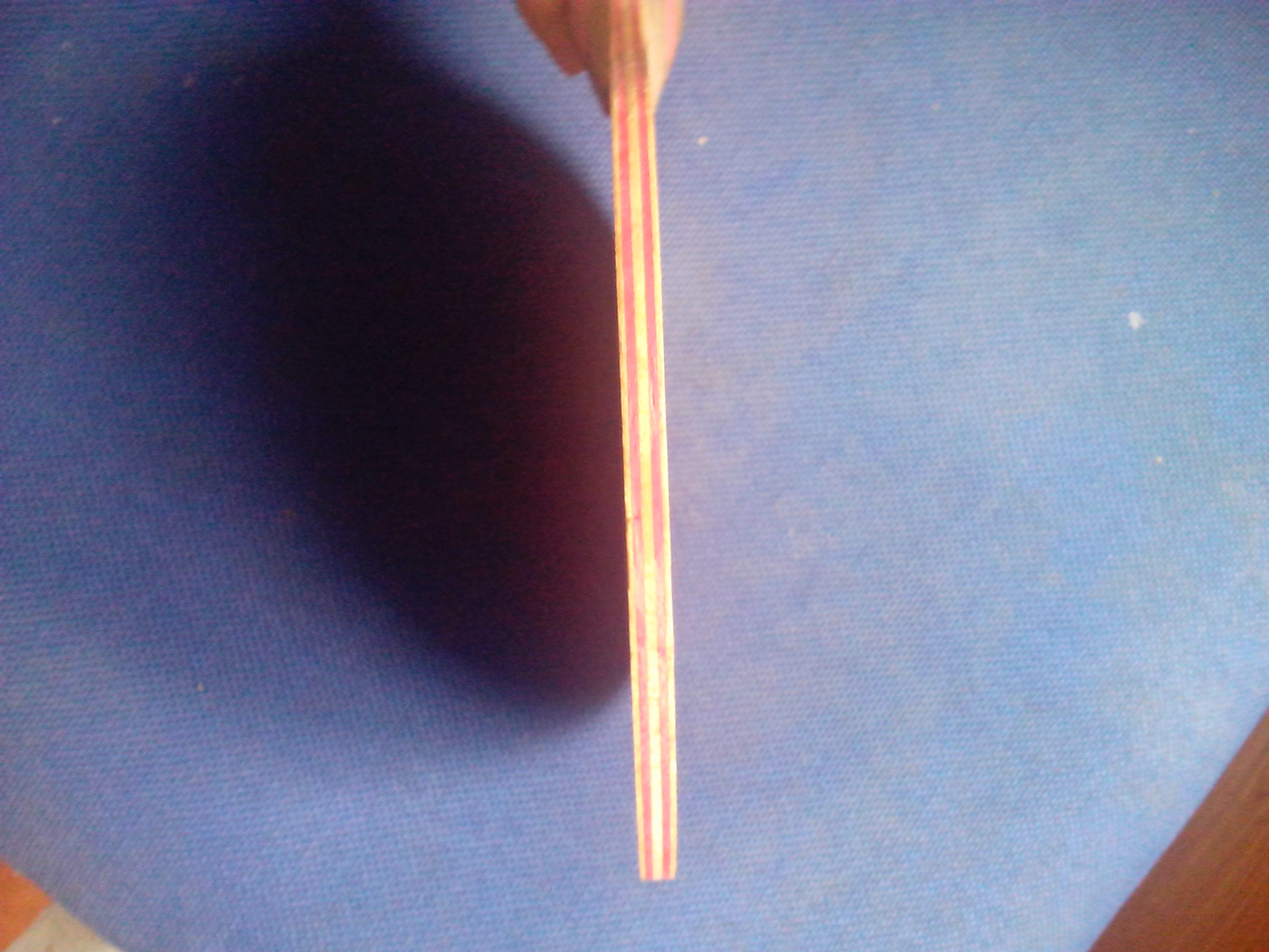 ע�ᾫӢ10��������3��1����ʾ���