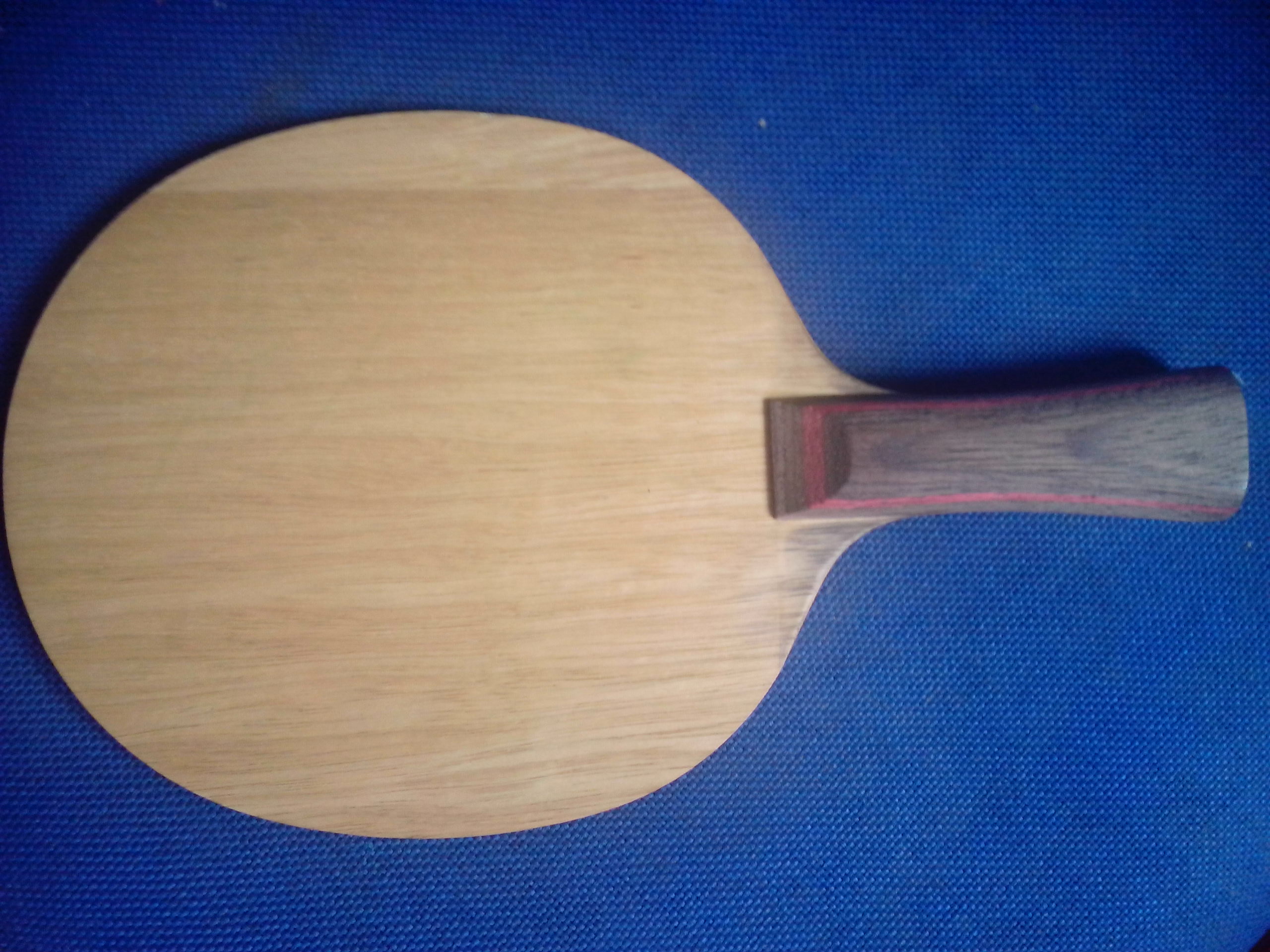 ע�ᾫӢ10��������3��1����ʾ���