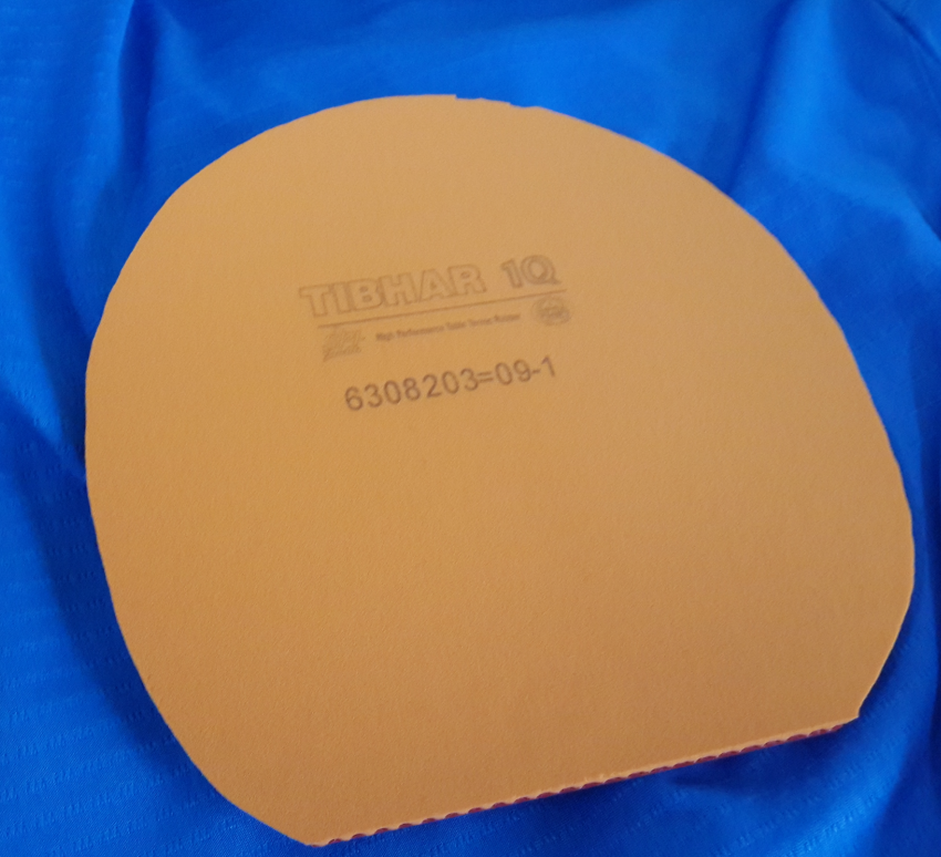 ɣ���ˣ�����Ʒ˫��С����ST  BOLL  ALC,��עBOLL  ALC��T05��1Q,ELP,��Ƥ���ɣ�����Ȥ������