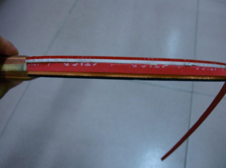 �����·�����������R5ȫ�ף�����������