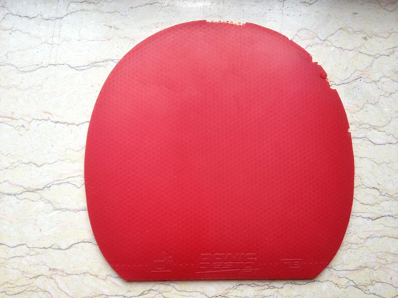 ������������һƬ����