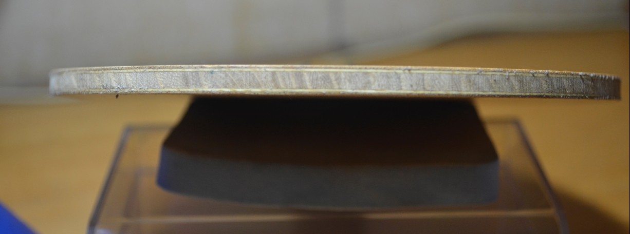 ���ؿ���������ľ����,��Ѫ���ѽ���