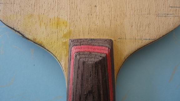 ����������һֻ�������ڵ���̼992��