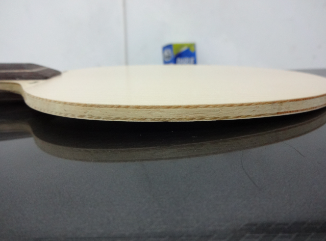 �л���ľ5 ���������У���������