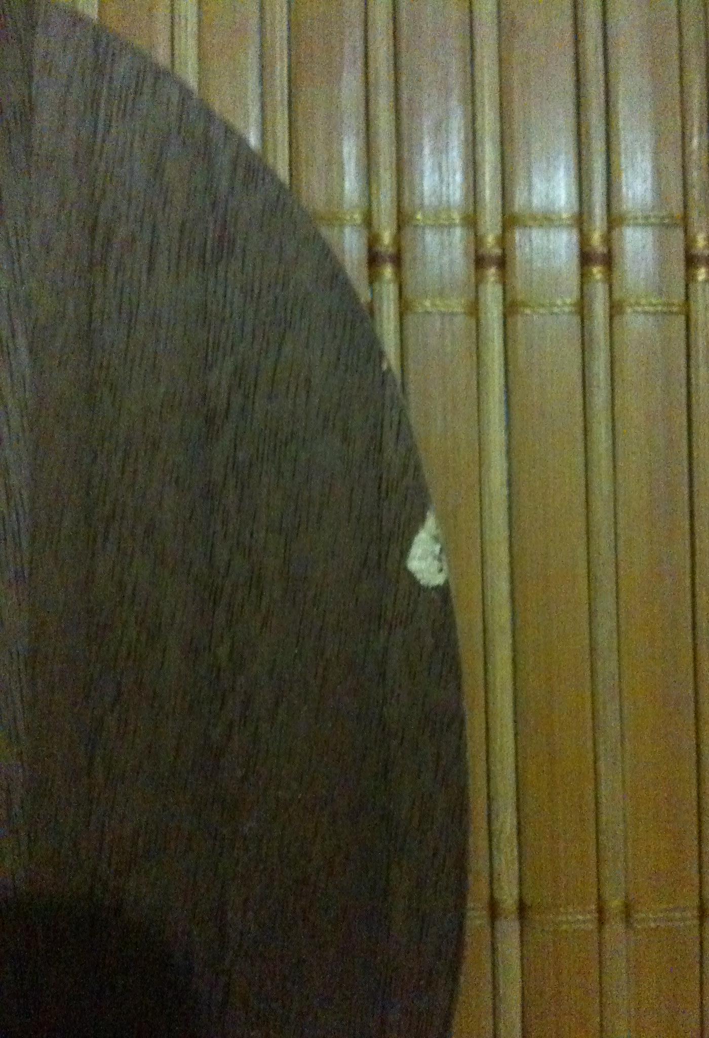 ����ǡһ�ѣ��ϰ汾�ģ��۸�150��