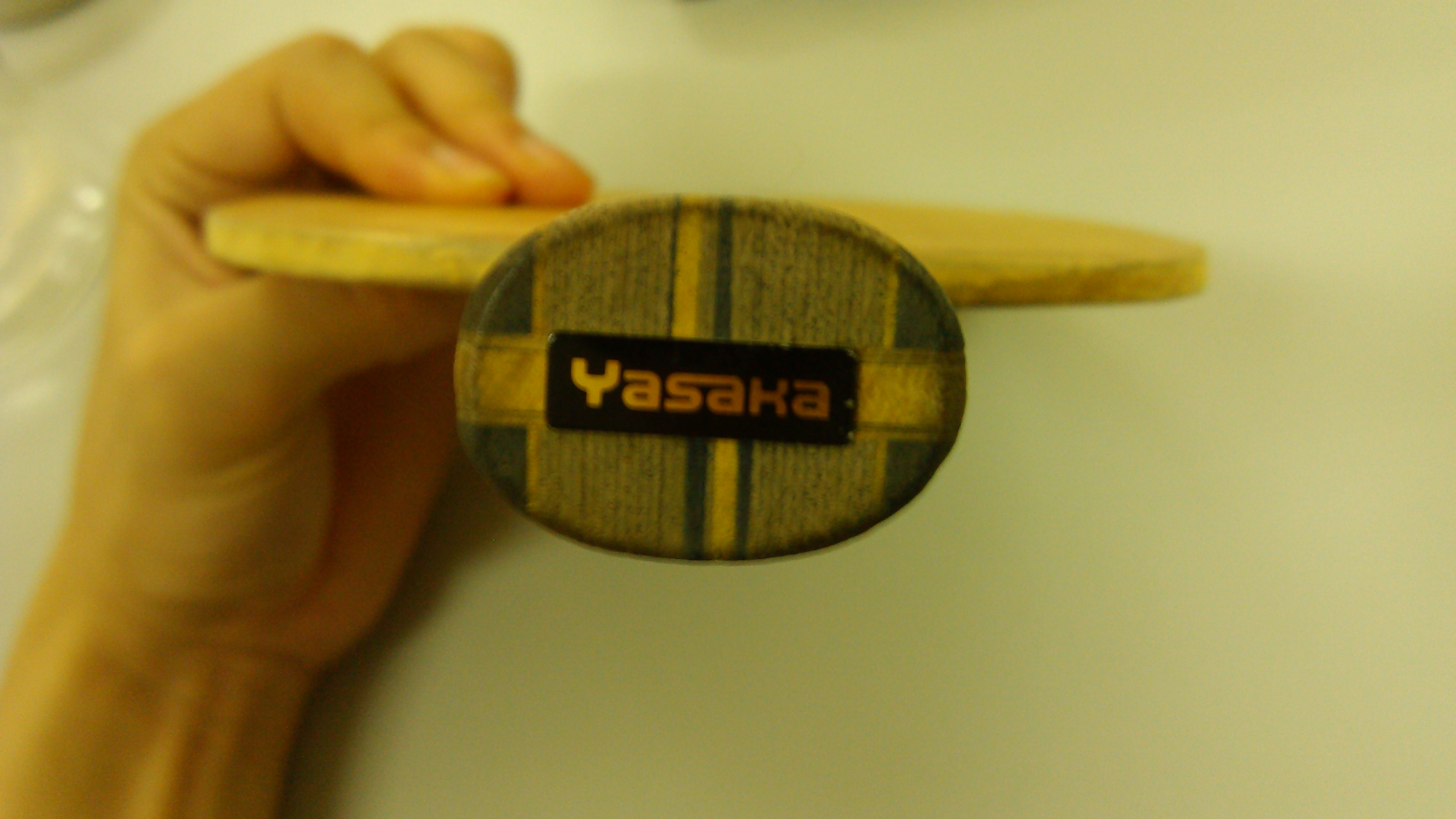 250���� ������ ysc