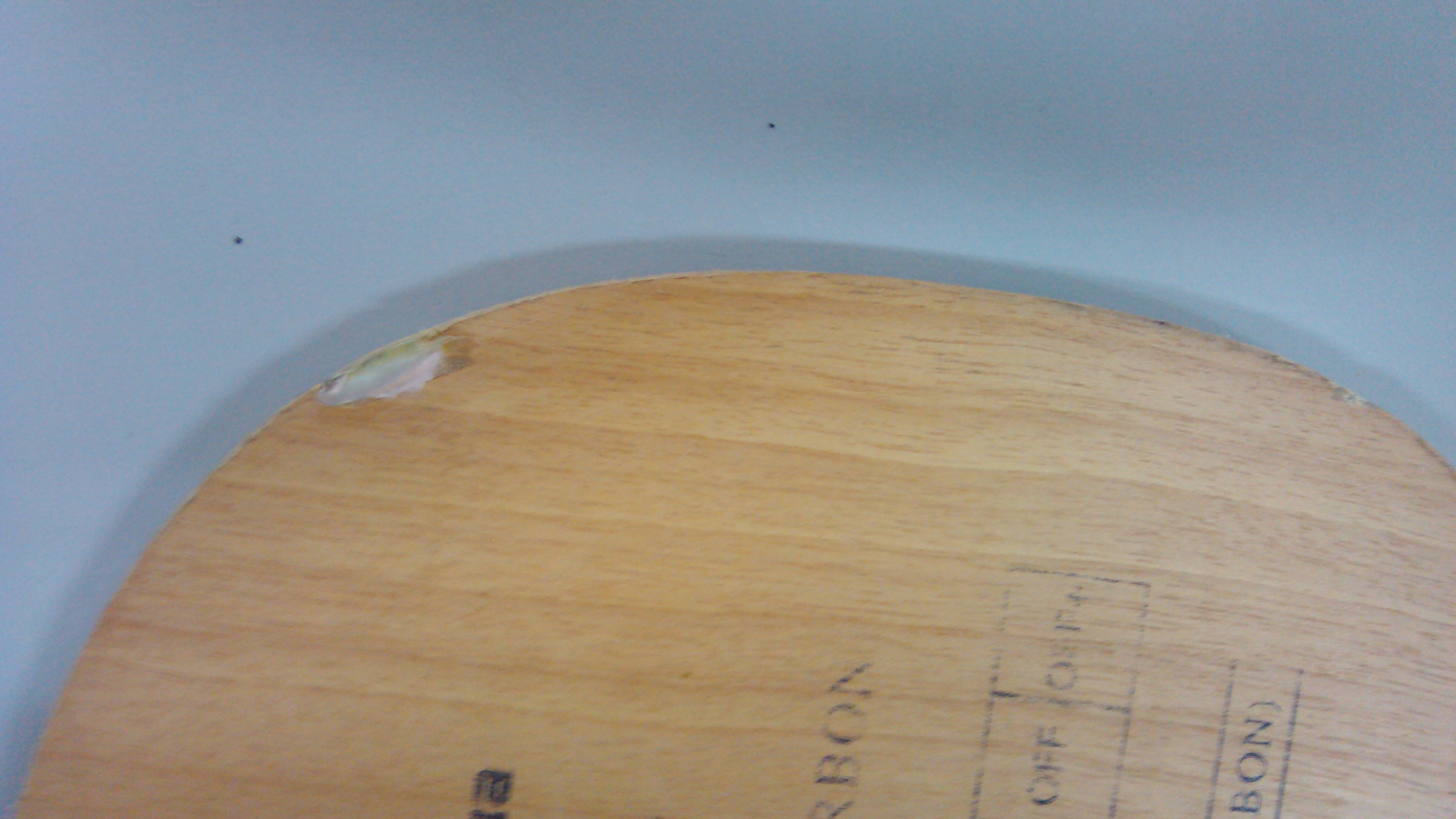 250���� ������ ysc