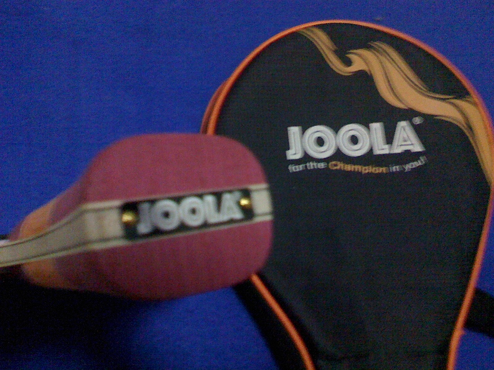 ����Ư���ı�����壬������˹��������������������������