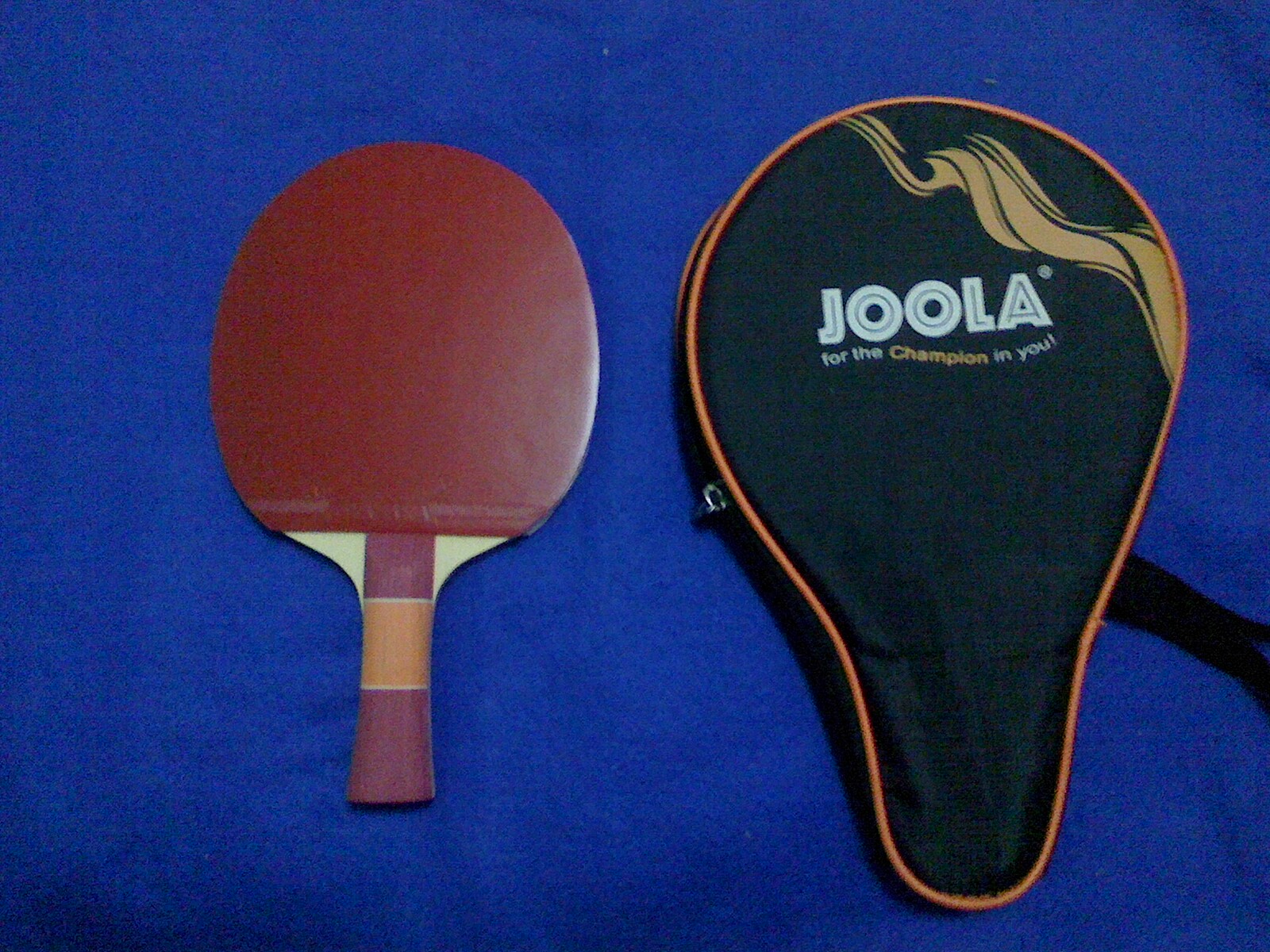 ����Ư���ı�����壬������˹��������������������������