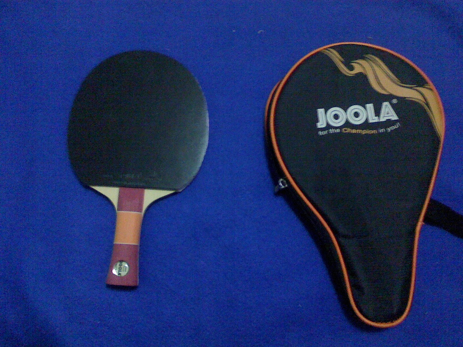 ����Ư���ı�����壬������˹��������������������������