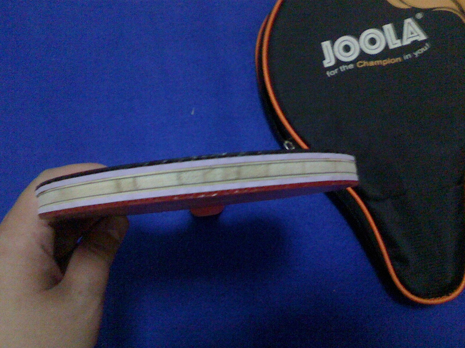 ����Ư���ı�����壬������˹��������������������������