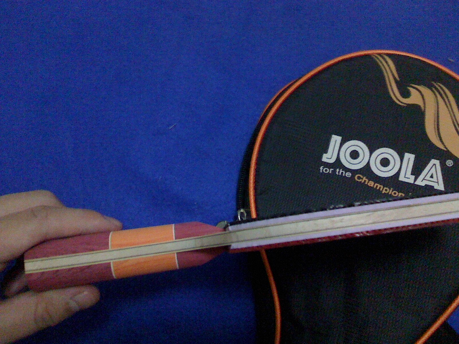 ����Ư���ı�����壬������˹��������������������������