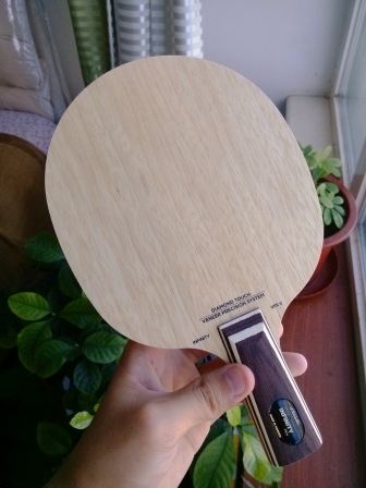 Stiga   infinity   VPS V   ֮�°���ҫ��----------��������֮---------�ܰͻ���������ͼ���ͣ�