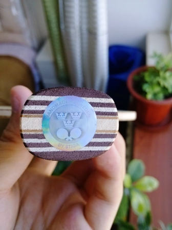 Stiga   infinity   VPS V   ֮�°���ҫ��----------��������֮---------�ܰͻ���������ͼ���ͣ�