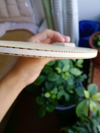 Stiga   infinity   VPS V   ֮�°���ҫ��----------��������֮---------�ܰͻ���������ͼ���ͣ�