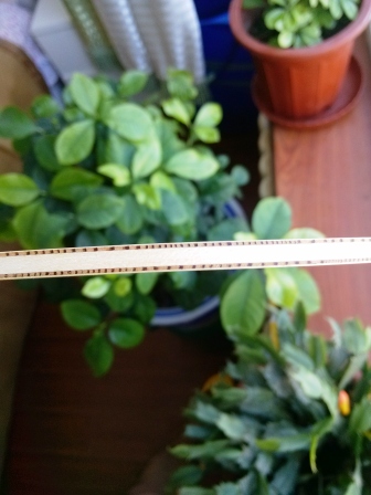 Stiga   infinity   VPS V   ֮�°���ҫ��----------��������֮---------�ܰͻ���������ͼ���ͣ�